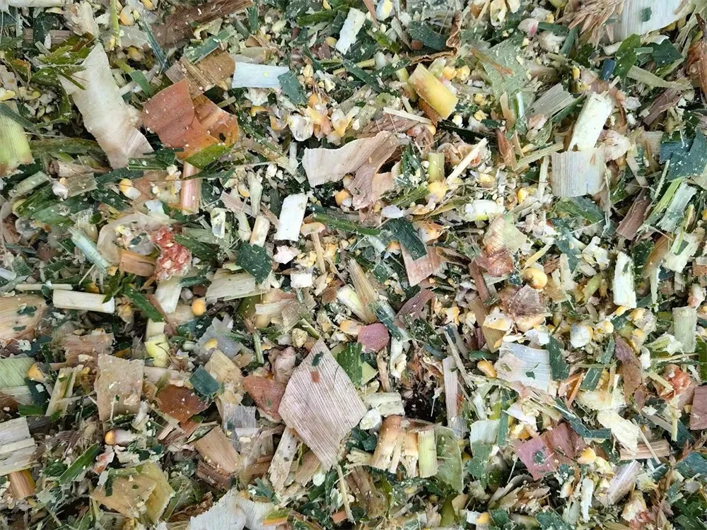 Corn Silage Mixed Forage