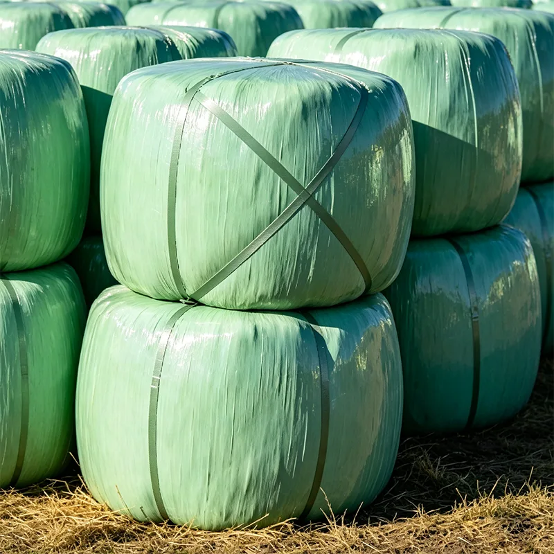 หญ้าหมักข้าวโพดหมักป้องกันรังสียูวี